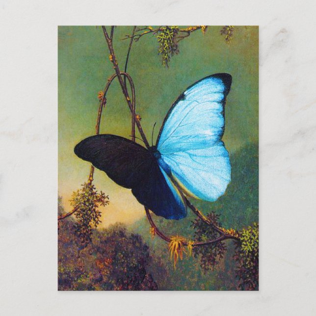 Carte Postale Blue Morpho Butterfly Postcard (Devant)
