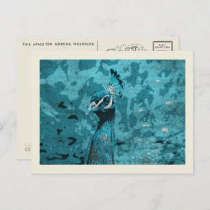 Carte Postale Blue Peacock portrait, paon mâle