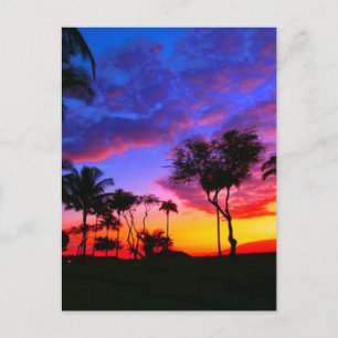 Carte Postale Blue Red Sunset Exotic Hawaiian Beach Palm Trees