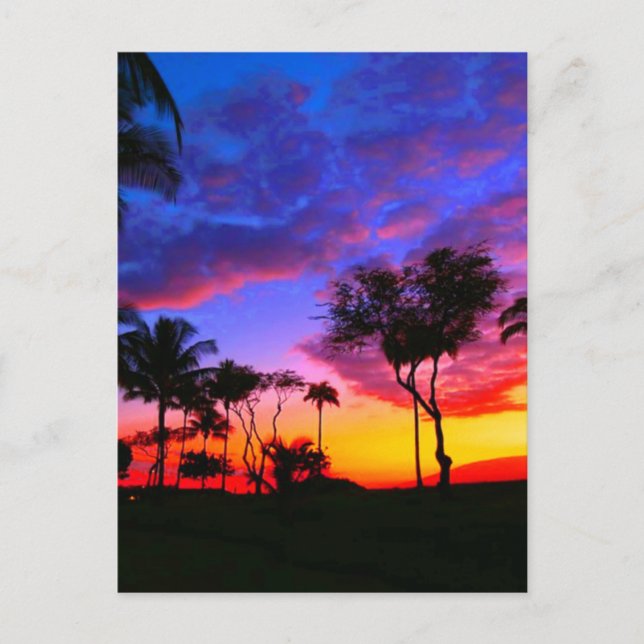 Carte Postale Blue Red Sunset Exotic Hawaiian Beach Palm Trees (Devant)