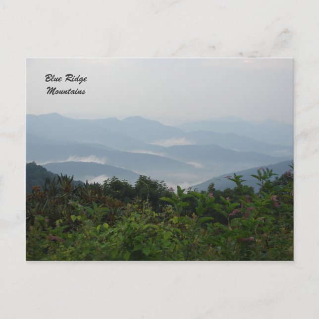 Carte Postale Blue Ridge Mountains (Devant)