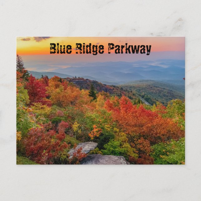 Carte Postale Blue Ridge Parkway en automne (Devant)