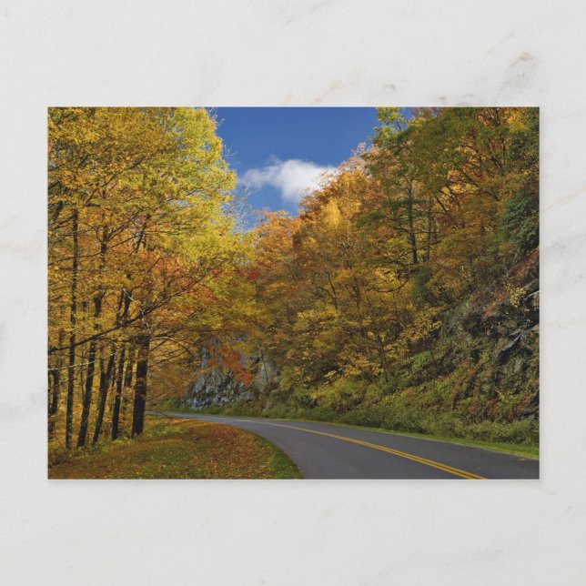 Carte Postale Blue Ridge Parkway sinuant à travers les couleurs  (Devant)