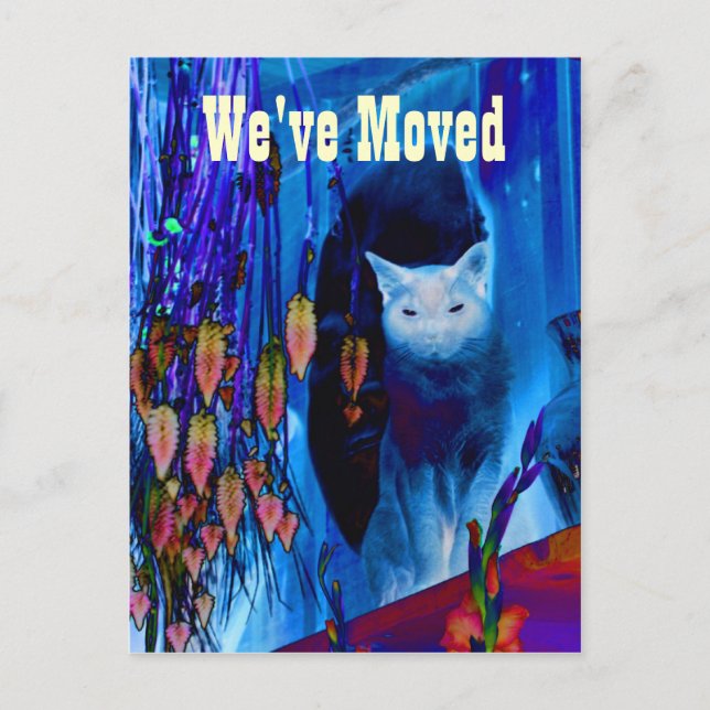 Carte postale Blue Siamese Chat Moving New Address (Devant)