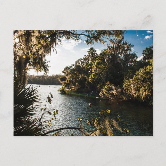 Carte Postale Blue Springs State Park, Floride (Devant)