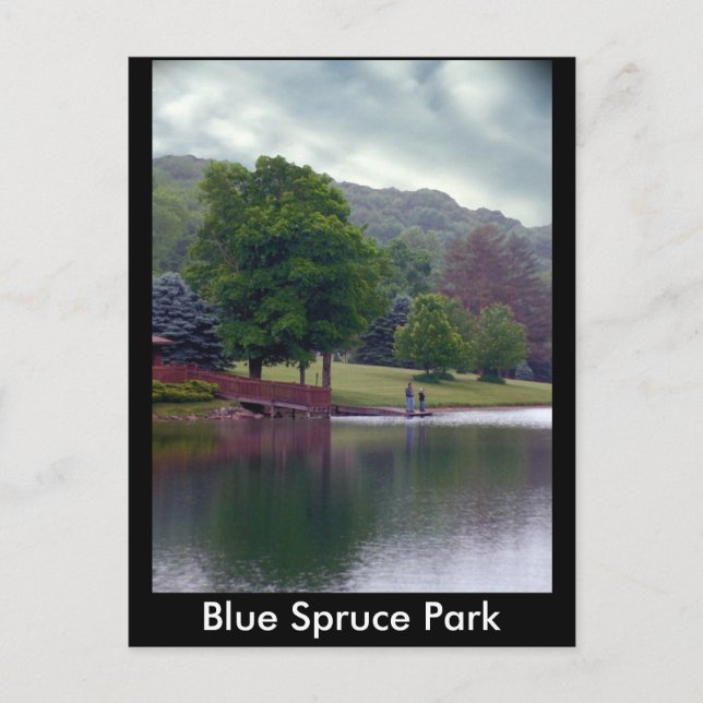 Carte Postale Blue Spruce Park (Devant)