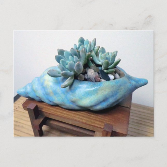 Carte Postale Blue Succulent dans le coquillage par des modèles  (Devant)