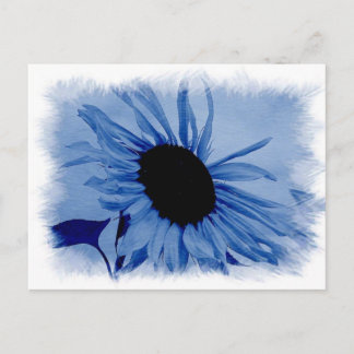 Carte Postale Blue Sunflower Postcard