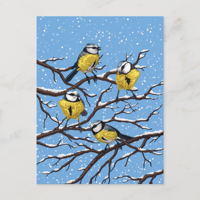 Carte Postale Blue tit birds en hiver (Devant)