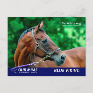 Carte postale Blue Viking