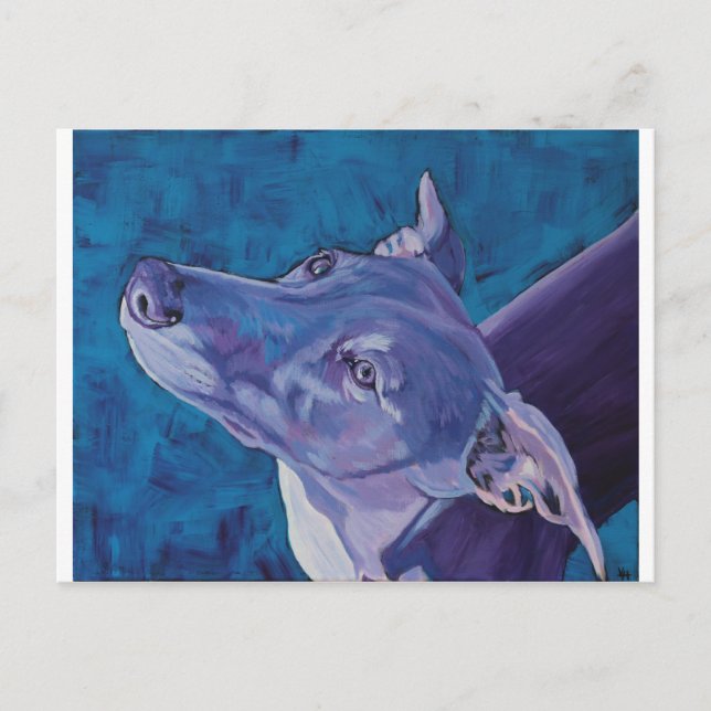 Carte Postale Blue Whippet (Devant)