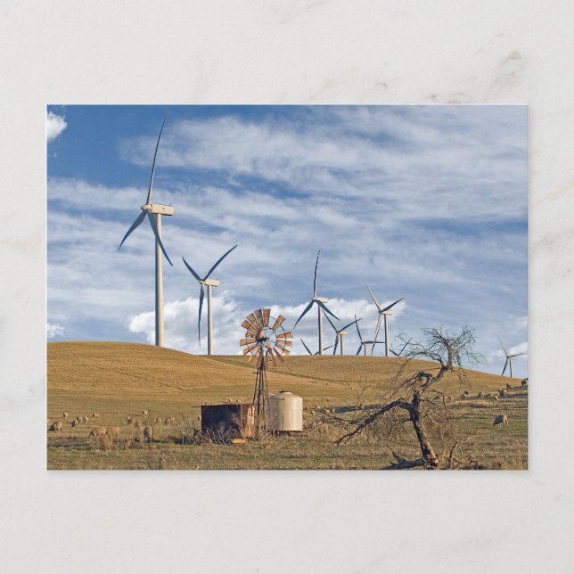 Carte postale Blue Wind (Devant)