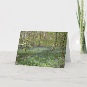 Carte postale Bluebell Wood Poynton Cheshire