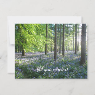 Carte Postale Bluebell Woods dans le soleil du soir - Personnali