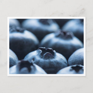 Carte postale - Blueberries