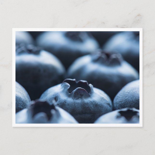 Carte postale - Blueberries (Devant)