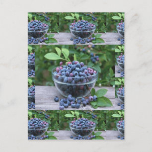 Carte Postale Blueberries Chefs cuisine saine Petit déjeuner Sal
