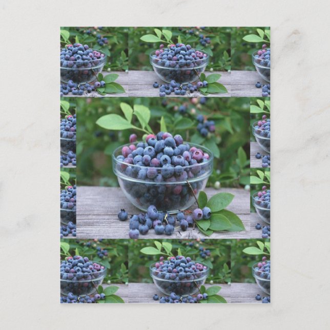 Carte Postale Blueberries Chefs cuisine saine Petit déjeuner Sal (Devant)