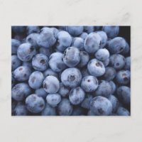 BLUEBERRIES PHOTOGRAPHIE FRUITS SANTÉ