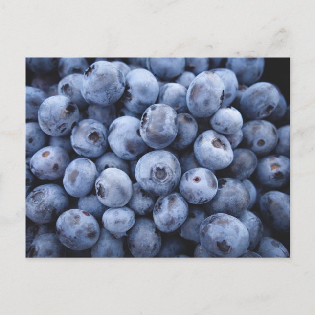 CARTE POSTALE BLUEBERRIES PHOTOGRAPHIE FRUITS SANTÉ (Devant)
