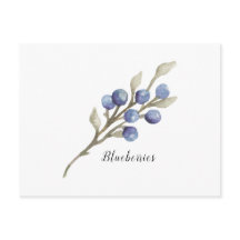 Blueberries sur la Branche