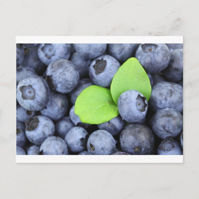 CARTE POSTALE BLUEBERRY (Devant)