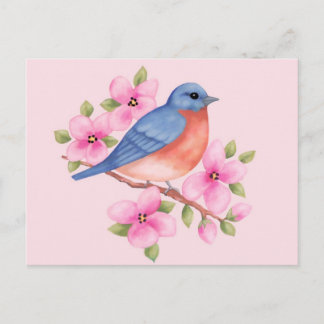 Carte postale Bluebird