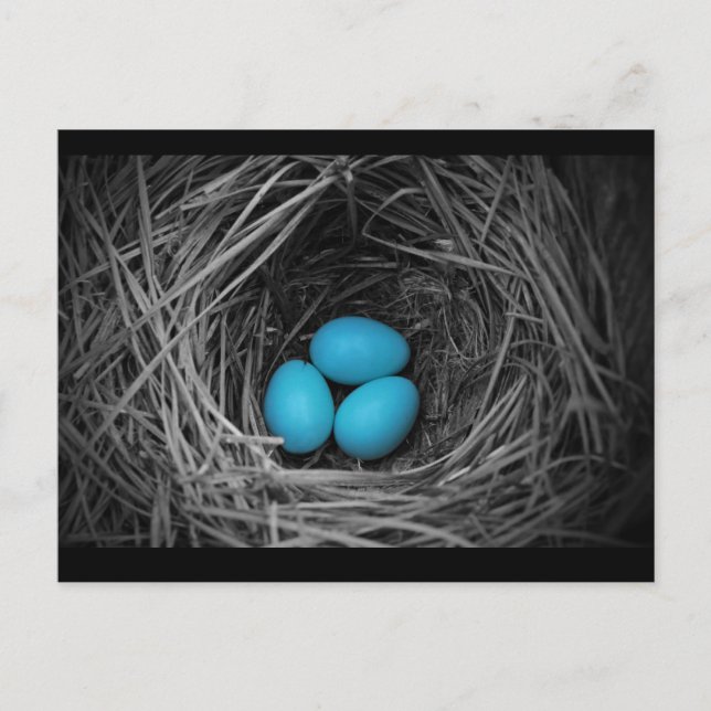 Carte Postale Bluebird (Devant)