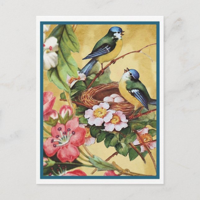 Carte Postale bluebird 7 (Devant)