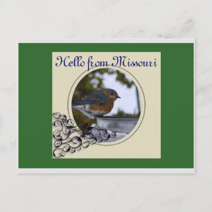 Carte Postale Bluebird, Bonjour du Missouri