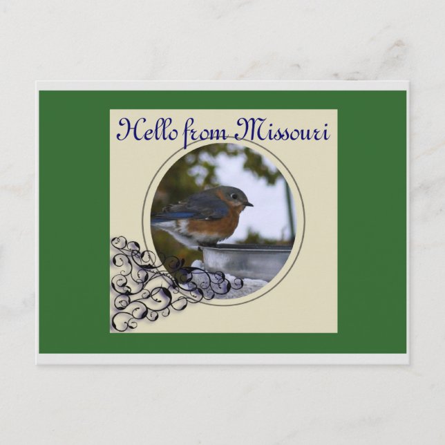 Carte Postale Bluebird, Bonjour du Missouri (Devant)