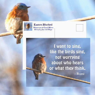 Carte Postale Bluebird Je veux chanter Rumi Citation photographi