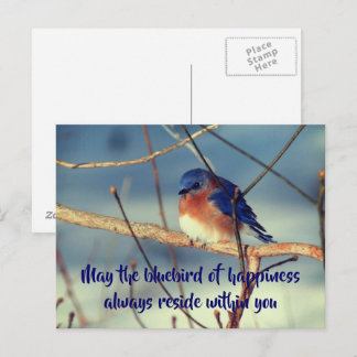 Carte Postale Bluebird Of Happiness Nature