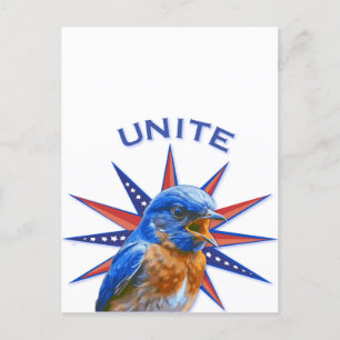 Carte postale Bluebirds UNITE