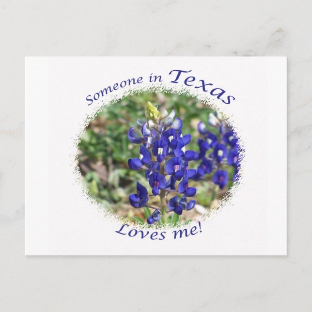 Carte postale Bluebonnet "Quelqu'un au Texas m'aim (Devant)