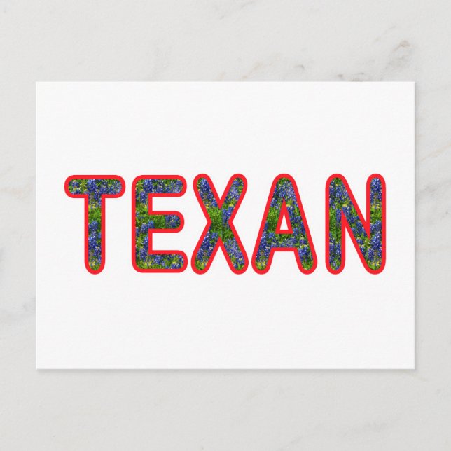 Carte Postale Bluebonnet Texan (Devant)