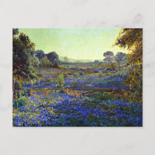 Carte Postale Bluebonnets à la fin de l'après-midi, près de La G