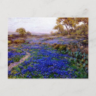 Carte Postale Bluebonnets à Twilight, au nord de San Antonio