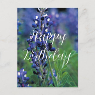 Carte Postale Bluebonnets Fleur de l'État du Texas Anniversaire
