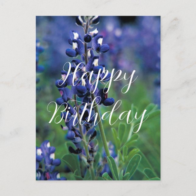 Carte Postale Bluebonnets Fleur de l'État du Texas Anniversaire  (Devant)