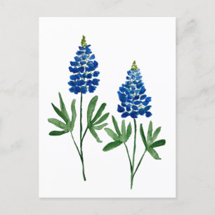 Carte Postale Bluebonnets Texas State Flowers Lupine Watercolor