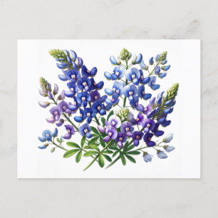 Carte Postale Bluebonnets Texas State Flowers Lupine Watercolor