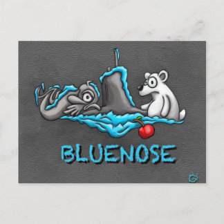 Carte postale Bluenose Phins