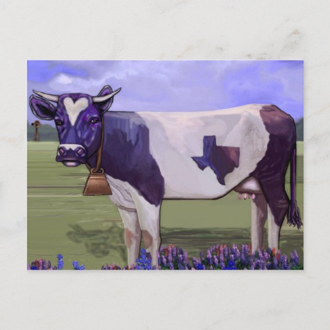 Carte Postale Blues de vache de lait (Devant)