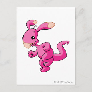 Carte Postale Blumaroo rose