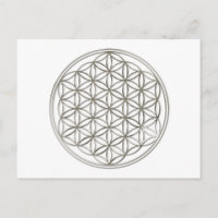 Blume des Lebens / Fleur de vie | argent gros