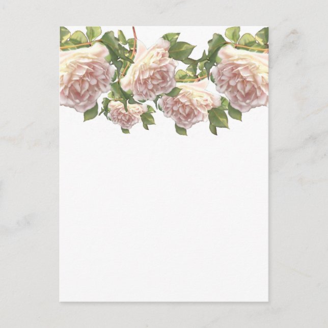 Carte Postale Blushing Ivory Peach Rose (Devant)