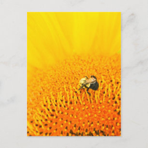 Carte Postale BNo2 : Numéro 2