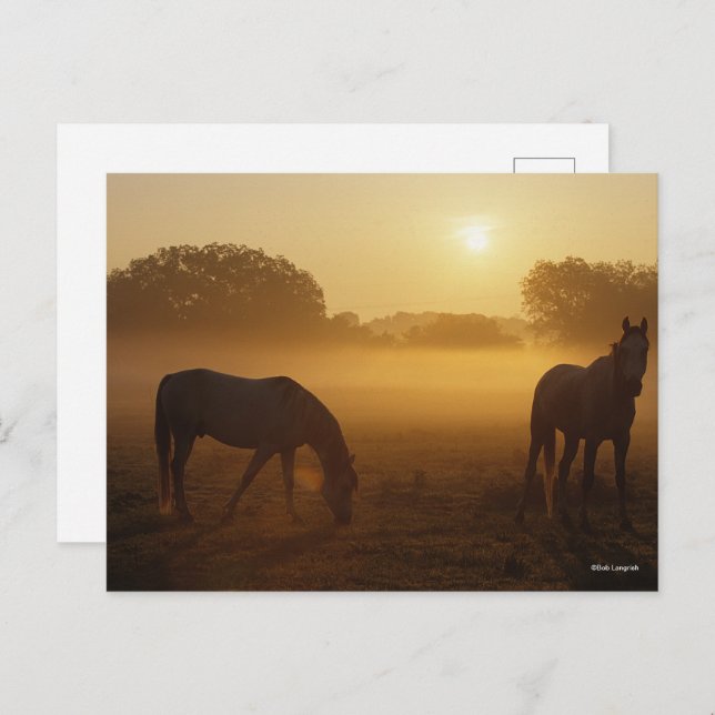 Carte Postale Bob Langrish Deux Arabes Se Tenant Dans Le Mist Au (Devant / Derrière)