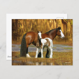 Carte Postale Bob Langrish   Gypsy Vanner Mare and Foal Fantasy